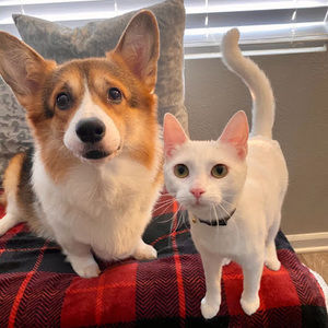 Meet your Posher, Jay